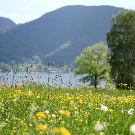 Cozy Bavarian In Badwiessee For Families *