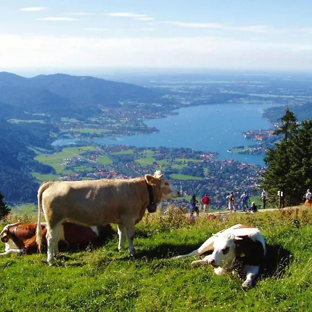 Apartament Cozy Bavarian In Badwiessee For Families Bad Wiessee
